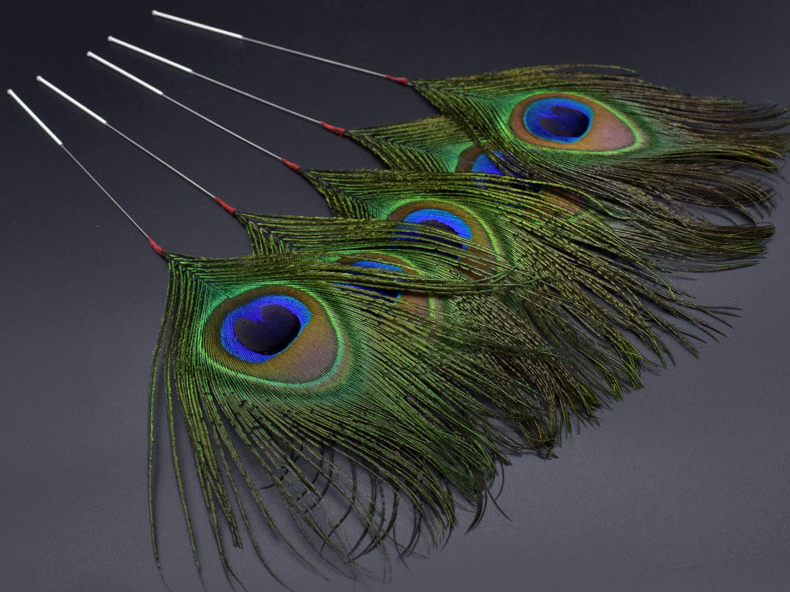 孔雀毛.jpg